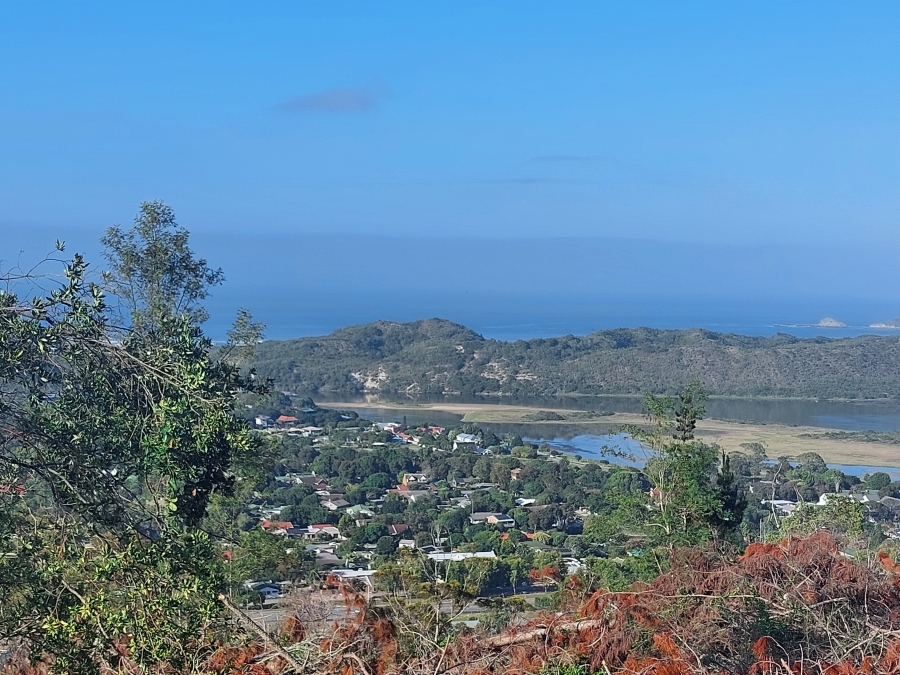 0 Bedroom Property for Sale in Sedgefield Rural Western Cape